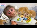 Where is BiBi