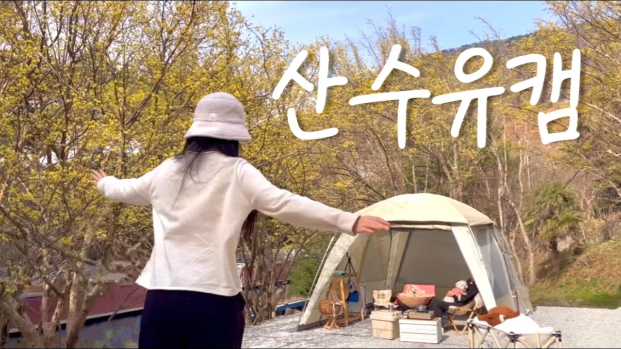 🌼3월 캠핑은 여기 가기로해요 | 애견동반캠핑 | 초대캠핑 | 제드 와일드돔ex | 구례 섬지캠핑장 サムネイル