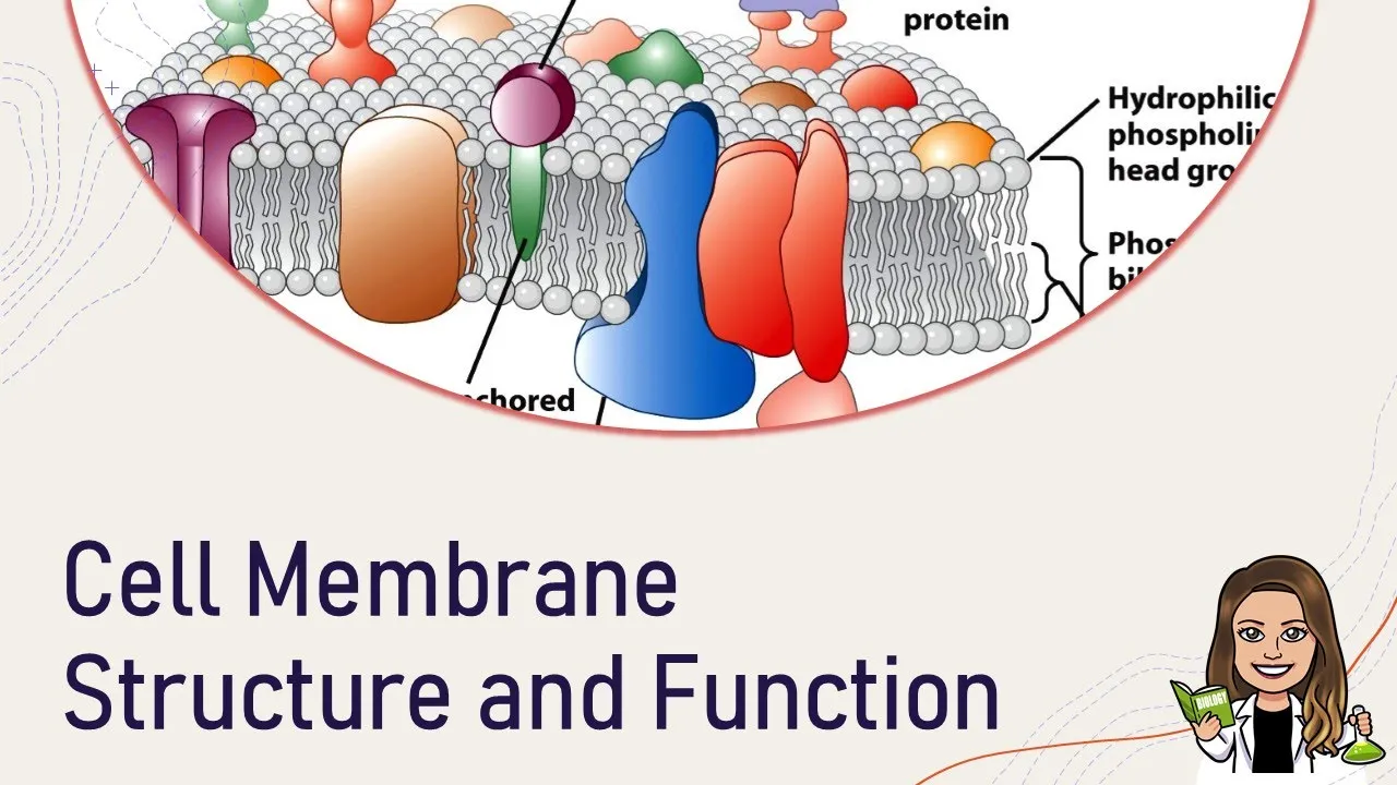 Biology: Cell Membrane Structure and Function (Ch 7)