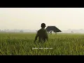 Download Lagu Story WA - Petani | Story WA Bahasa Jawa - Sawah | Story WA Terbaru