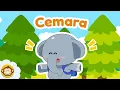 Lagu Lagu Anak Anak 🌲 Cemara 🌲 Kompilasi Lagu Anak Indonesia BaLiTa