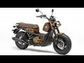 Honda Big Ruckus 2026 - PS250 MF09-BA Full Review Specs and Ride Experience