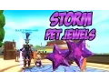 Wizard101 I FINALLY GET THE JEWEL I WANTED - Crafting Storm Pet Jewels