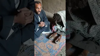 اغرب حاله فى العالم سبحان الله حاله غريبه فى مصر لن تصدق   دندنها