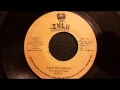 Download Lagu Sizzla - Hail The Woman - Zulu 7\