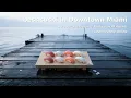 Your Search for best sushi in Downtown Miami Became This Song Chill Japanese Lo-Fi SushiNearMe