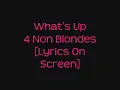 What's Up--4 Non Blondes [Lyrics On Screen]