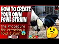 How to create your own breed of chicken