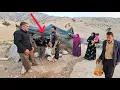 Download Lagu Unified Sacrifice: Javad Family Sells Goats for Medina's Future