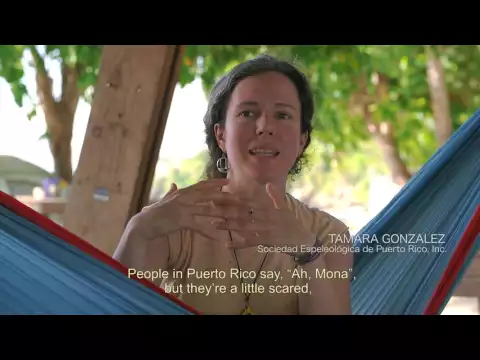 Mona, tesoro del Caribe
