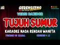 Download Lagu Karaoke Tujuh Sumur - Elvy Sukaesih