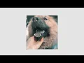 Download Lagu Jaguar Sun - Boris (Official Video)