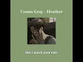 Download Lagu Conan Gray - Heather (TikTok) // Lyric Video ☁