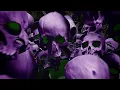 Chief Keef - Shrek And Donkey