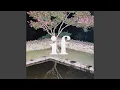 Download Lagu Señorita (Feat. nafla)