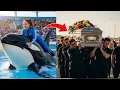 Download Lagu Heartbreaking Orca Farewell at Marine Park: Trainer Jessica’s Last Goodbye \u0026 Daughter’s Visit 