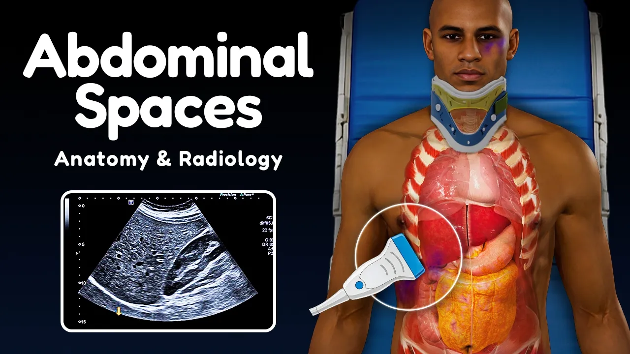 Abdominal Spaces in Surgery & Radiology (Peritoneal, Retroperitoneal, Pelvic)