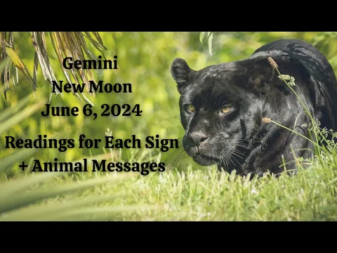 Download MP3 NEW MOON in GEMINI. June 6, 2024. READINGS for EACH SIGN + ANIMAL MESSAGES