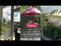 Courtney Barnett - Rae Street (Window Video)