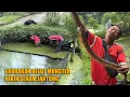Lagu MENYALA ABANGKU ‼️ MANCING BELUT MONSTER YANG BIKIN SENAM JANTUNG
