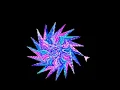 Python turtle flower Art