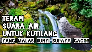 Download Terapi Suara Air Untuk KUTILANG Bahan Dan Ombyokan . MP3
