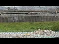 Rain impact on Tijuana River Valley