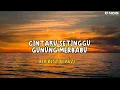 Download Lagu CINTAKU SETINGGI GUNUNG MERBABU-RIA RESTY FAUZI | LAGU JADUL NOSTALGIA PALING DICARI 2024