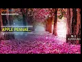 Download Lagu Apple Penne ~ Roja Kootam ~ BHARATHWAJ 🎼 5.1 SURROUND 🎧 BASS BOOSTED 🎧 SVP Beats