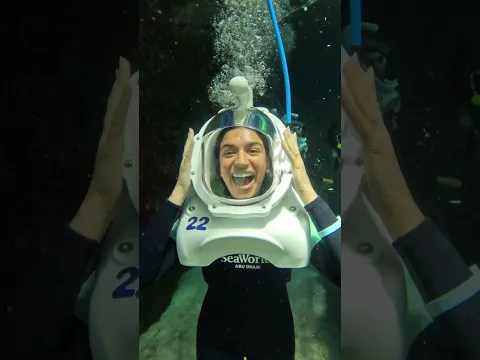 Swimming in Abu Dhabi is AMAZING above and below the sea @VisitAbuDhabiChannel #hindi  #inabudhabi