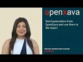 EN JasperReports with OpenXava Working with parameters