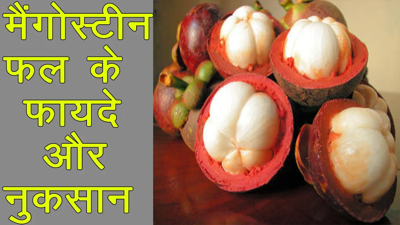 Yummy Mangosteen - Mangosteen Picking At Farm - Cooking With Sros. 