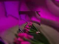 djadja & dinaz - bb ( speed up )