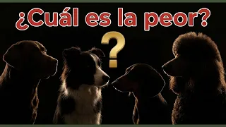 Las 5 RAZAS con PEOR Comportamiento en 2026