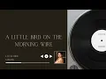 Carlos Zatch - Little Bird [Official Lyric Video]
