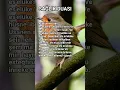 Download Lagu ACİL ŞİFA İÇİN OKU 🤍 #islamicvideo
