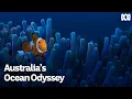 Australia s Ocean Odyssey a journey down the East Australian Current First Look