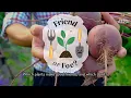 Farmers Almanac Companion Planting Guide Friends Foes