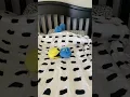 Pac-Man Plushie Battle