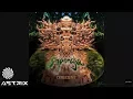 Lagu Shpongle \u0026 Astrix - Strange Planet