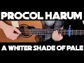 Download Lagu Kelly Valleau - A Whiter Shade Of Pale (Procol Harum) - Fingerstyle Guitar 2