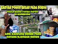 Download Lagu HONGKONG BANYAK POHON TUMBANG PASCA DIH4NTAM BADAI TOPAN SUPER RAGASA