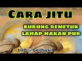 Download Lagu Cara Cepat Agar Burung remetuk laut makan Voer