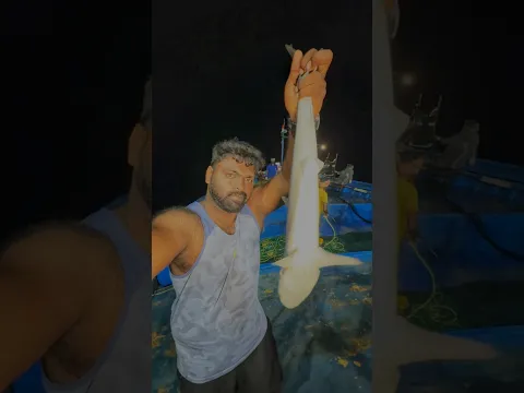 EP-06 |🦈 A Baby Shark… Still Alive! | Day6 at Sea 🌊 #Minivlog #indianoceanfisherman