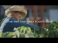 Meadows Farms