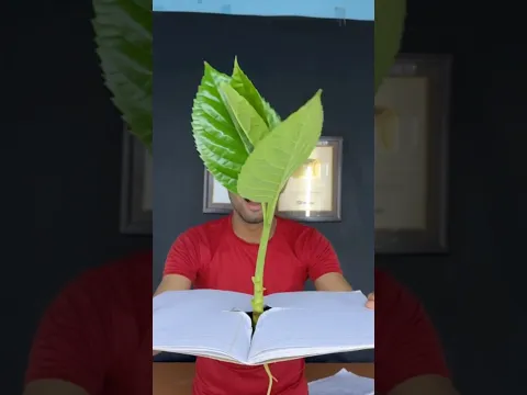 Can we grow a plane in notebook 😱 #shorts  #trending  #ytshorts