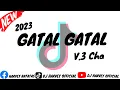 DJ DEYANG GATAL GATAL NEW TIKTOK [THAI REMIX] DJ HARVEY