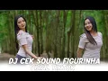DJ CEK SOUND FIGURINHA - VIRAL TIKTOK