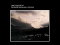 Electricity (DinDisc 1980 Version / 2003 Digital Remaster)