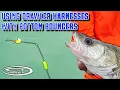 How to Fish a Bottom Bouncer for Walleye